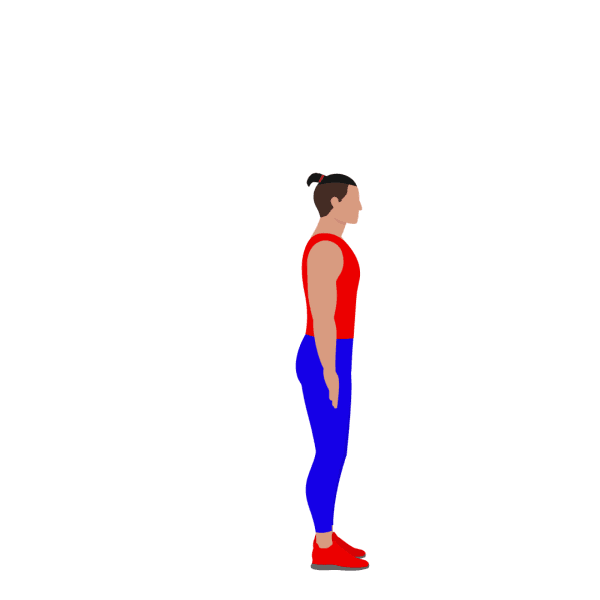 Burpee