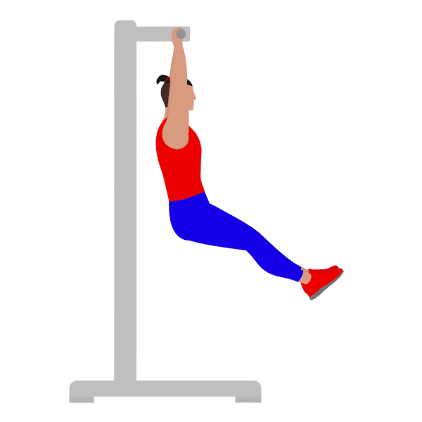 Hanging Leg Raise