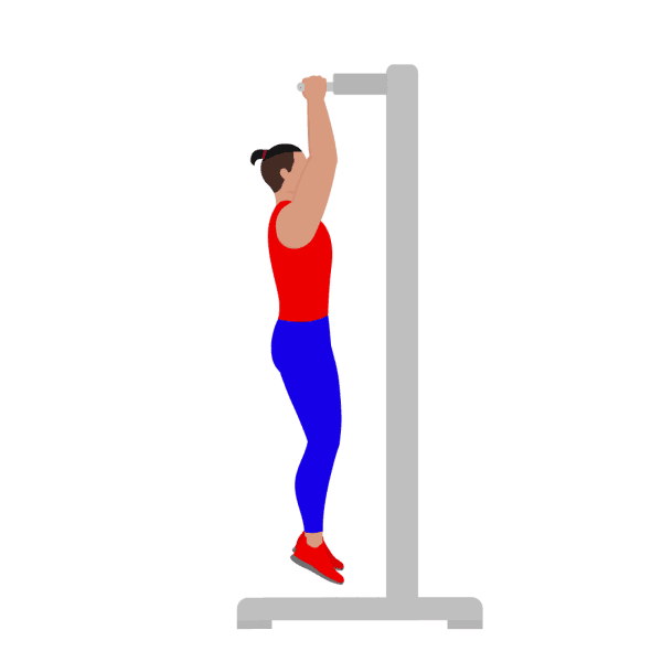Parallel Grip Pull Up
