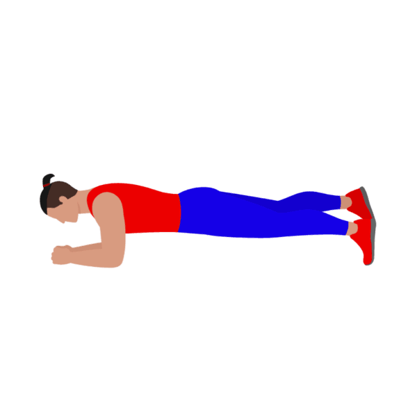 Low plank leg raise