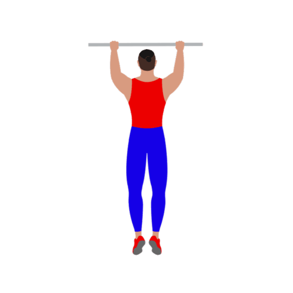 Regular grip pull up