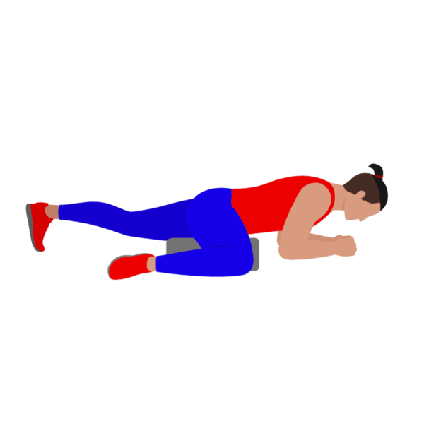 Hip Adductor