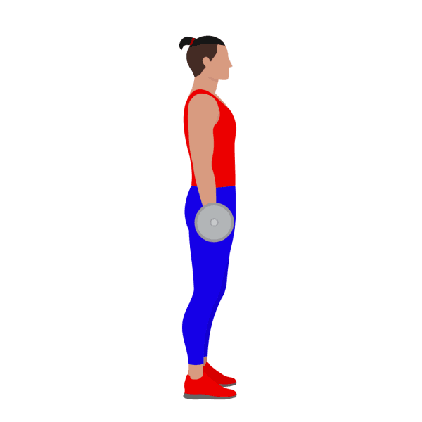 Alternating dumbbell bicep curl