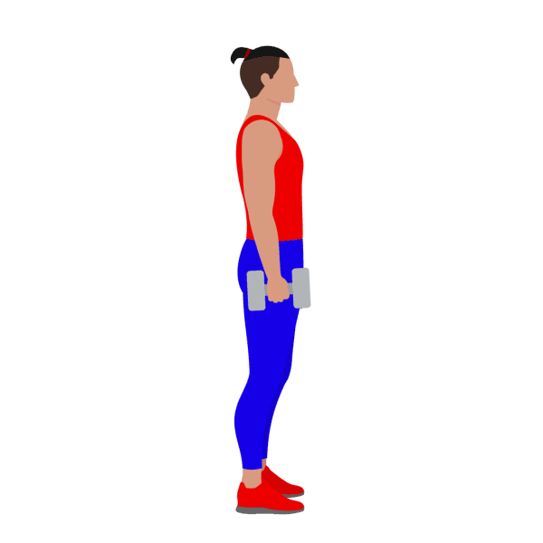 Alternating dumbbell hammer curl