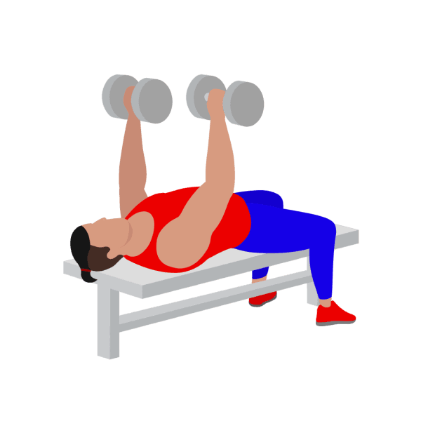 Dumbbell Bench Press