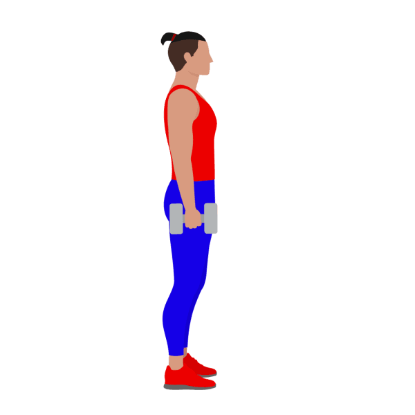 Dumbbell deadlift