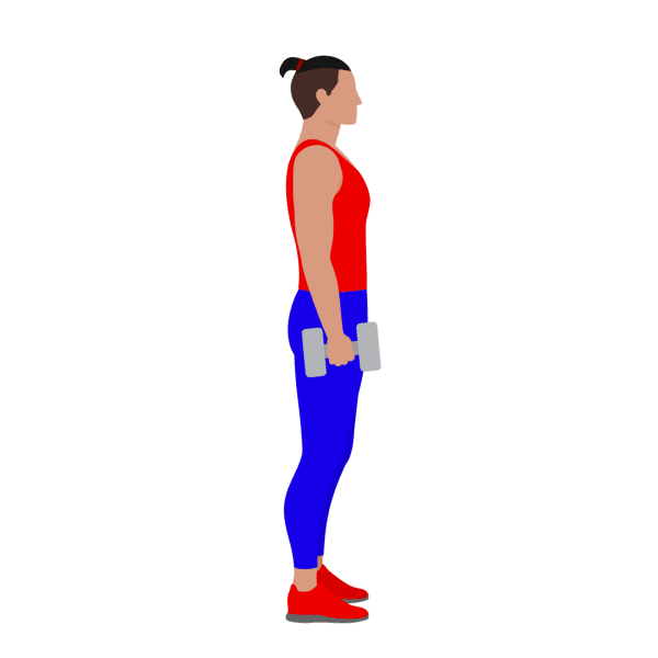 Dumbbell Hammer Curl