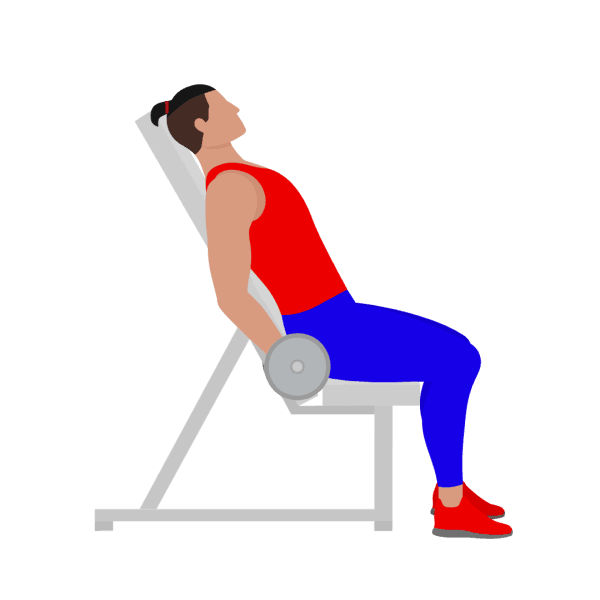 Dumbbell incline bicep curl