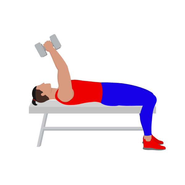 Lying Dumbbell Tricep Extension