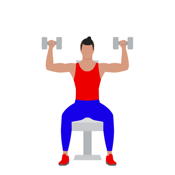 Seated Dumbbell Shoulder Press