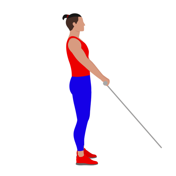 Cable Squat