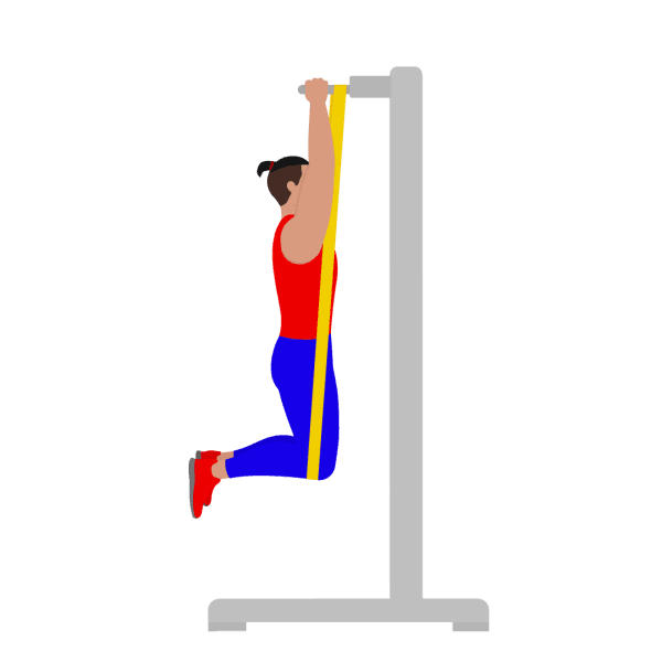 Resistance Band Assisted Parallel Grip Pull Up