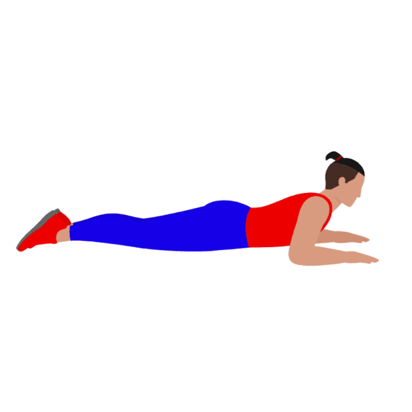 Sphinx Pose Stretching