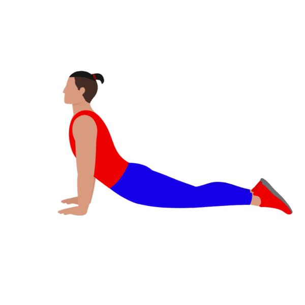 Upward Facing Dog Stretching