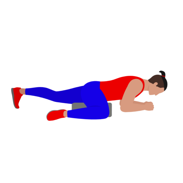 Hip Adductor