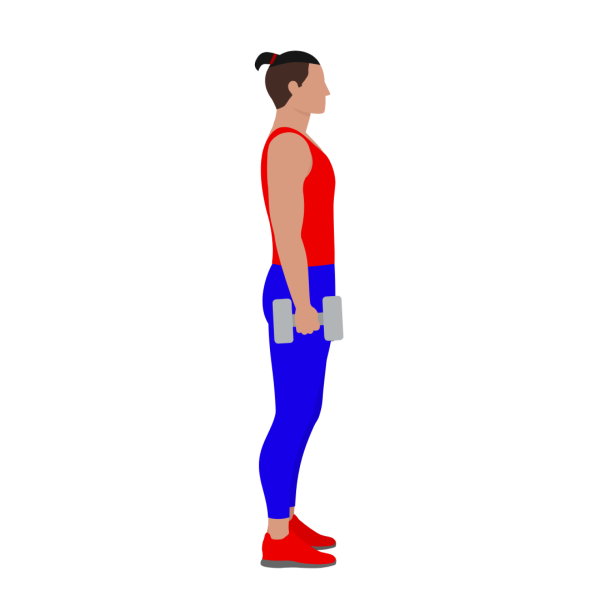 Alternating dumbbell hammer curl