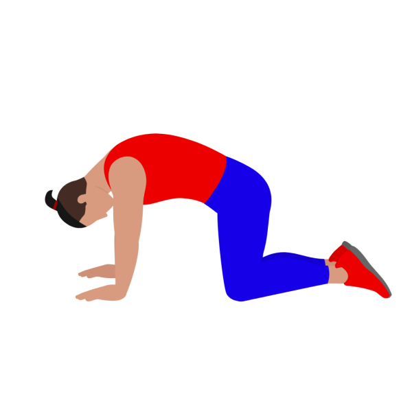 Cat Cow Stretching