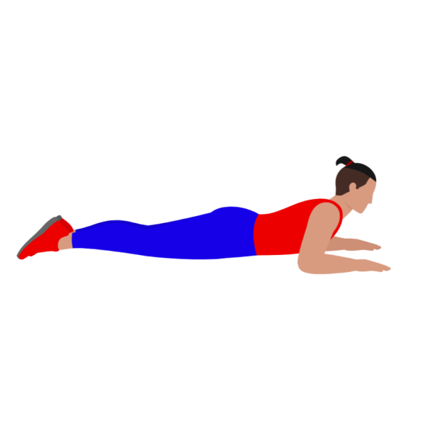 Sphinx Pose Stretching