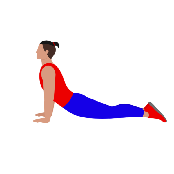 Upward Facing Dog Stretching
